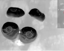 Crew-11 görevinde yeni gelişmeler