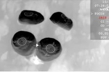 Crew-11 görevinde yeni gelişmeler