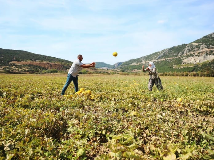 Denizli'nin o lezzeti tescillendi: Türkiye’de tescilli ürün sayısı 2 bine yaklaştı