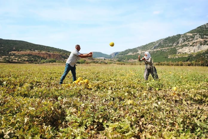 Denizli'nin o lezzeti tescillendi: Türkiye’de tescilli ürün sayısı 2 bine yaklaştı