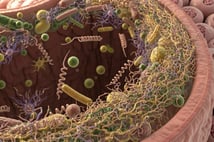 Sindirim sorunlarımızın arkasındaki sessiz güç: 'Mikrobiyom'