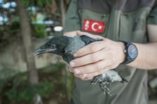 Kargalardan yaralı arkadaşları için yardım çağrısı