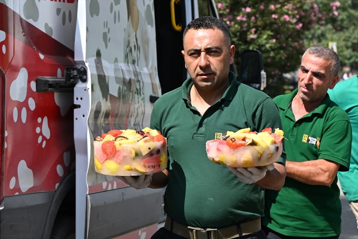 Gaziantep Hayvanat Bahçesi sakinlerine buzlu ziyafet