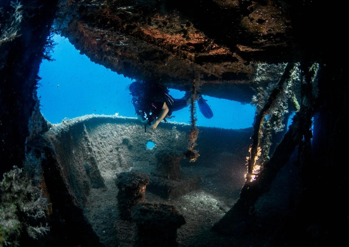 Çeşme su altı güzellikleriyle her seviye dalgıca hitap ediyor