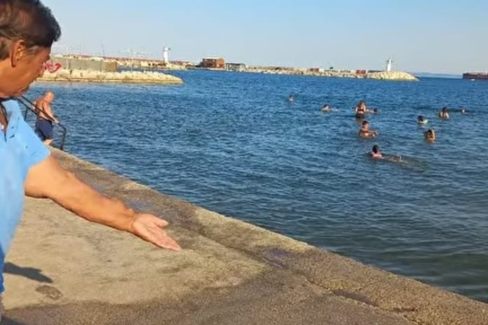 Tekirdağ Şarköy'de mavi bayraklı plaja lağım aktı: Halk sağlığı tehdit altında