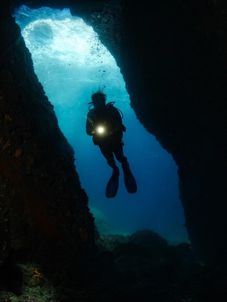 Çeşme su altı güzellikleriyle her seviye dalgıca hitap ediyor