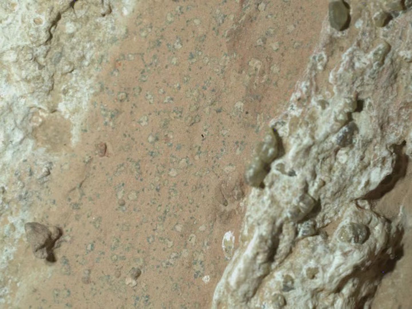 Mars'ta yaşam izleri bulundu
