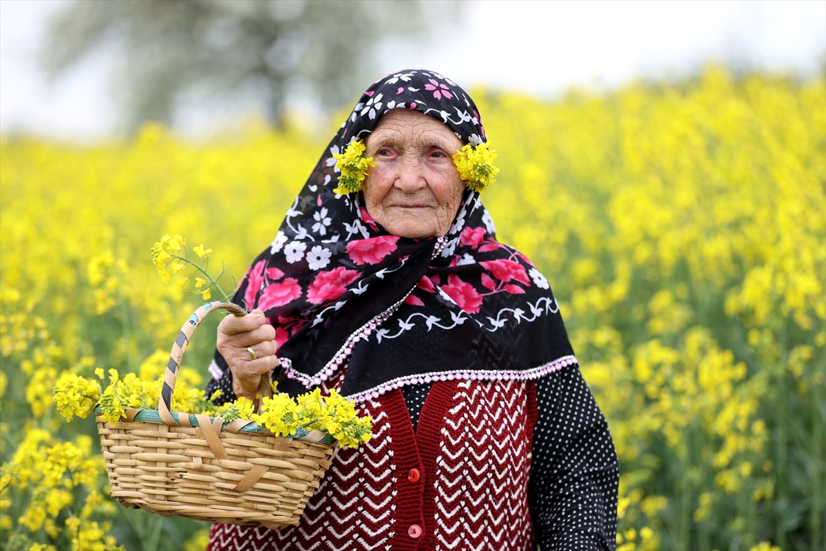 Trakya'da 'sarı selin' mevsimi: Fotoğraf tutkunları bölgeye akın etti 