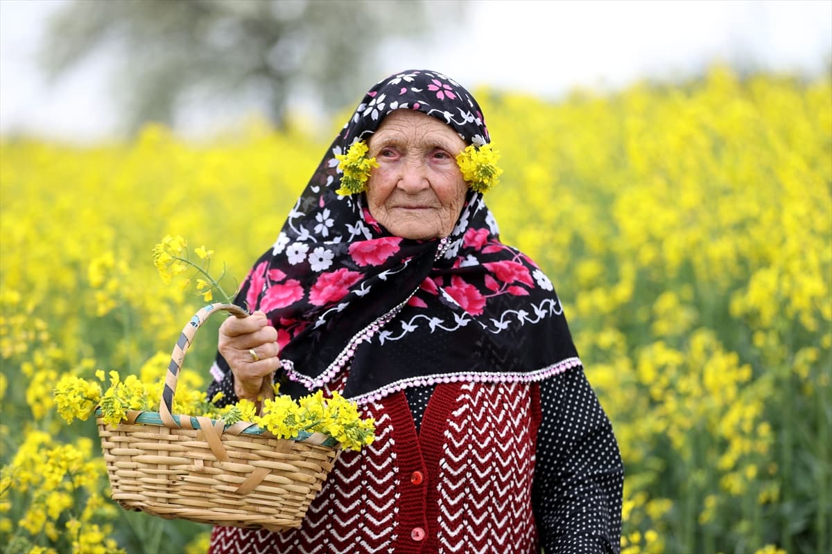 Trakya'da 'sarı selin' mevsimi: Fotoğraf tutkunları bölgeye akın etti 