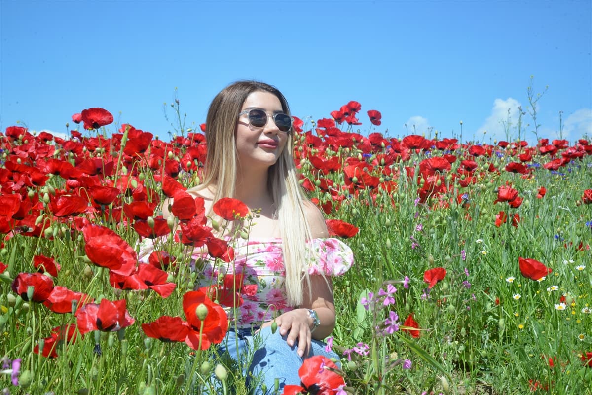 Muş'ta doğa kırmızıya büründü: Görenler tarlalara akın ediyor! 