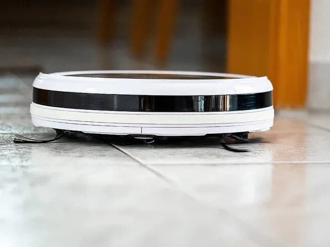 Robot süpürgeyle ihaneti belgeleyince hapis cezası aldı