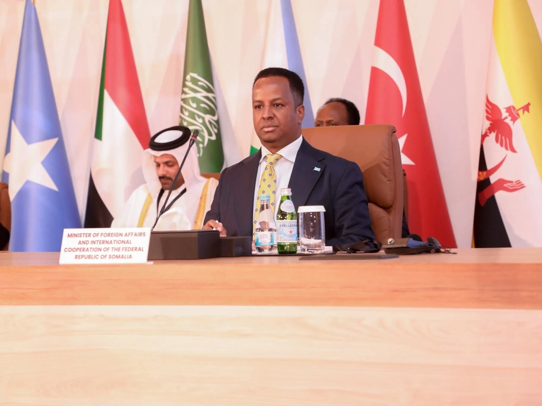 Somali FM Calls For Stronger OIC Backing At Doha Meeting