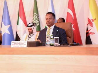 Somali FM Calls For Stronger OIC Backing At Doha Meeting