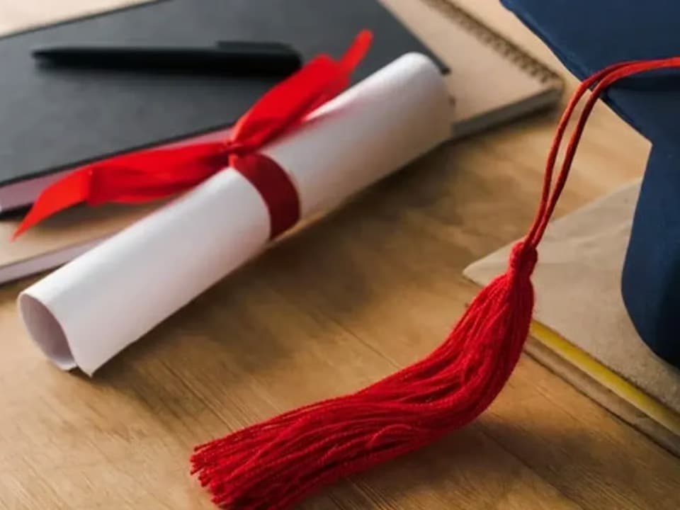 Sahte diploma operasyonu 197 yakalama