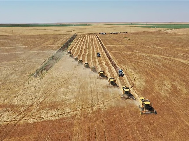 Türkiye tarımsal hasılatta rekor kırdı: Dünyada ilk 7 ülke arasına girdi