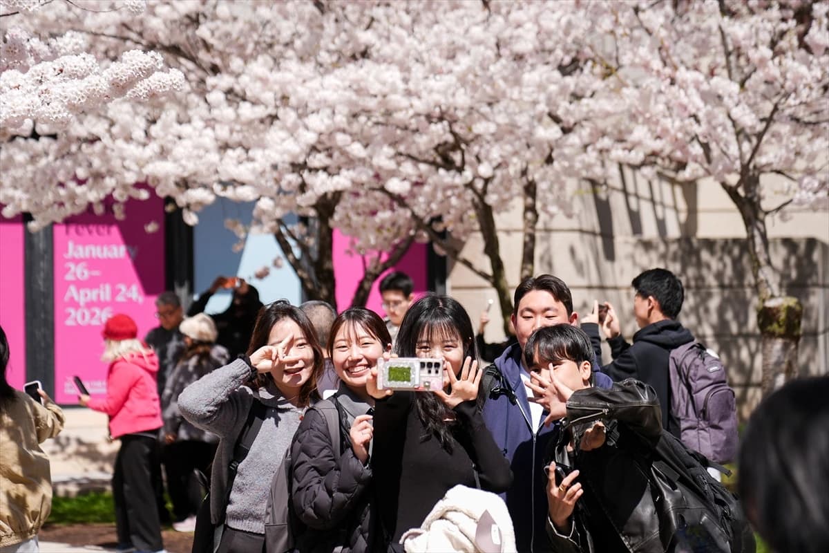 Toronto'da Japon esintisi | Dört bir yanı sardılar...