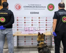 Gümrük sahasında 171 kilogram skunk ele geçirildi