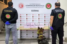Gümrük sahasında 171 kilogram skunk ele geçirildi