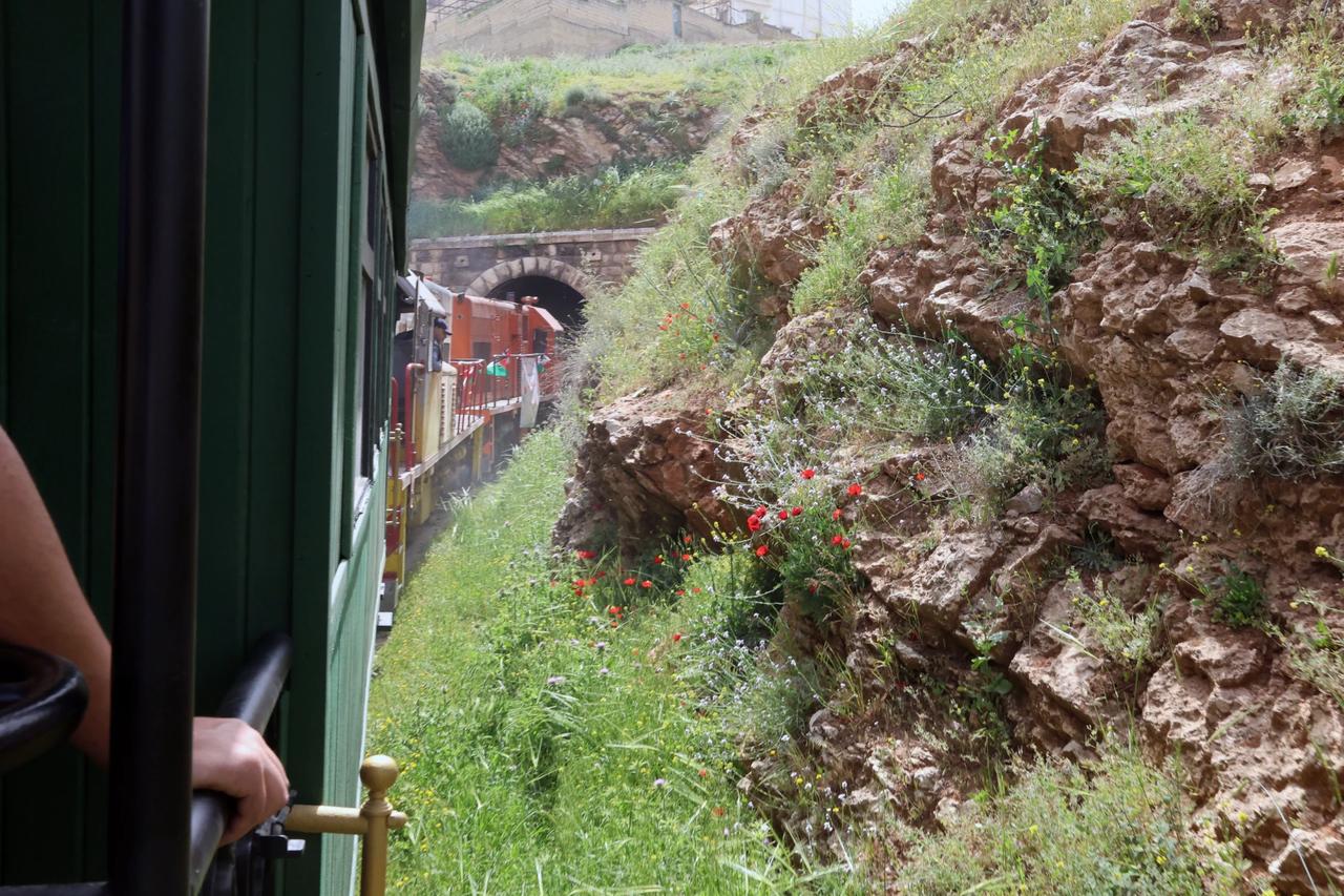 Kardeşlik halayları ve barış mesajı