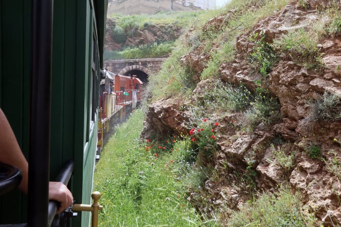 Kardeşlik halayları ve barış mesajı