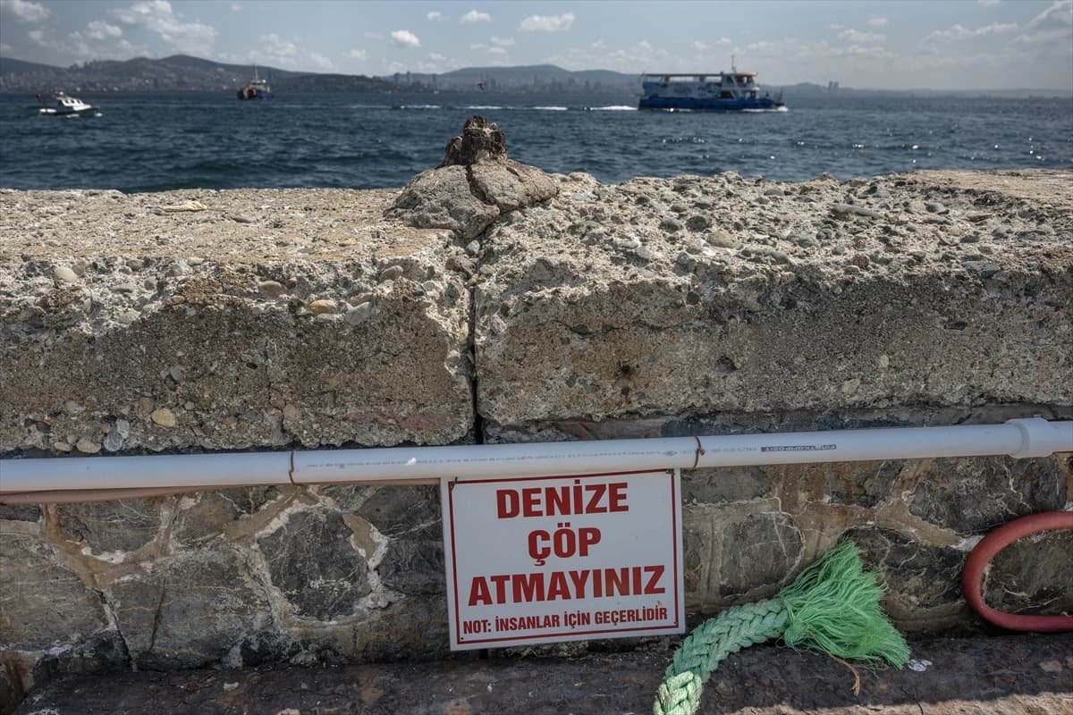 Prens Adaları'nda deniz kuşları için strafor tehlikesi