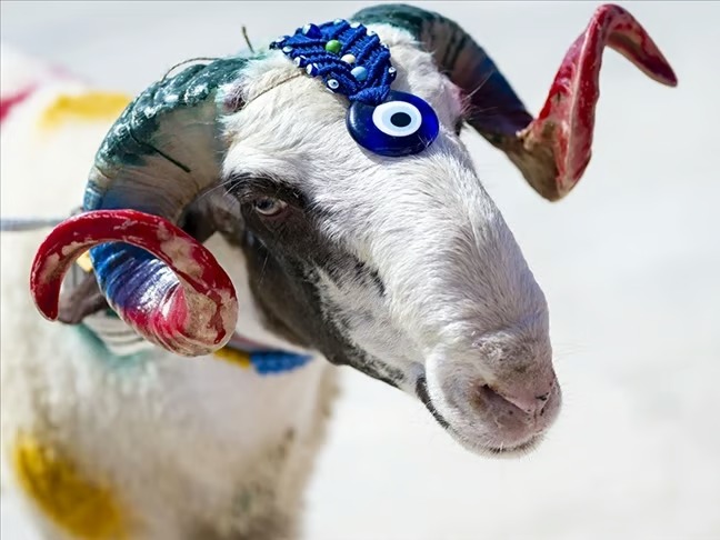 Kurban Bayramı ne zaman? Diyanet takvimiyle 2026 Kurban Bayramı kaç gün?