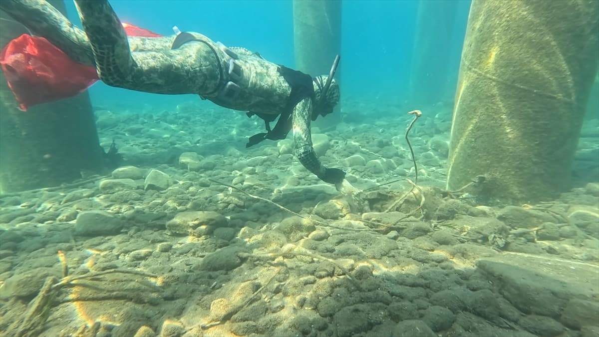 Bodrum'da "Denize En Çok Mavi Yakışır" etkinliği: 241 kilogram atık çıkarıldı!