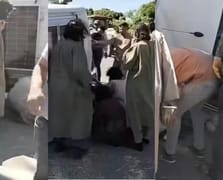 Ölü ele geçirilen DEAŞ bağlantılı ailenin Gaziantep görüntüleri ortaya çıktı