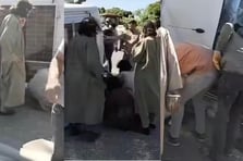 Ölü ele geçirilen DEAŞ bağlantılı ailenin Gaziantep görüntüleri ortaya çıktı