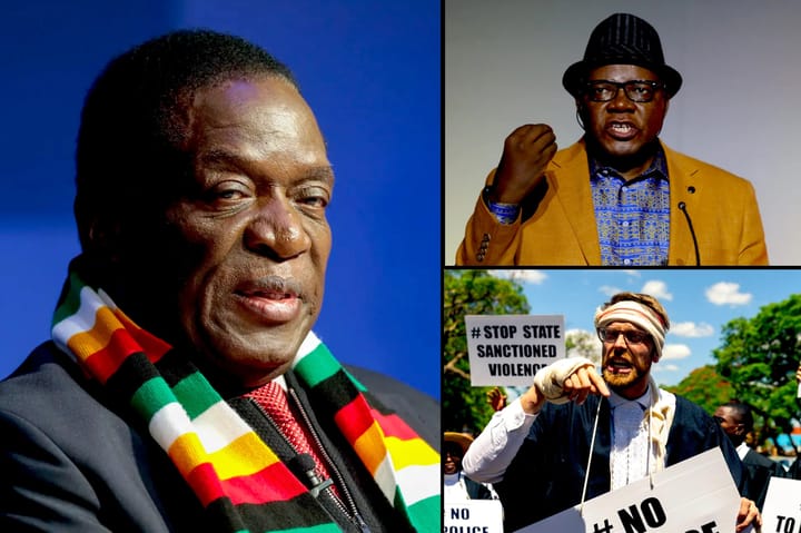 Chaos Erupts at Zimbabwe Hearing on President Term Extension