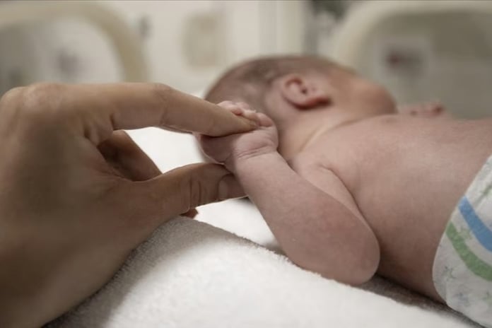 Fatih'te kan donduran olay! Aç bırakılarak öldürüldü 