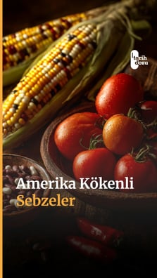 Amerika Kökenli Sebzeler