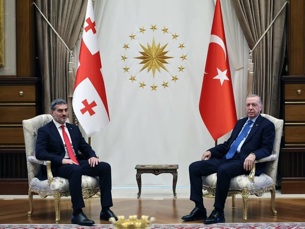 Cumhurbaşkanı Erdoğan Gürcü mevkidaşı Kavelaşvili ile görüştü