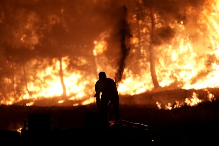 Orman yangınlarına ilişkin soruşturmalarda tutuklu sayısı 13'e yükseldi