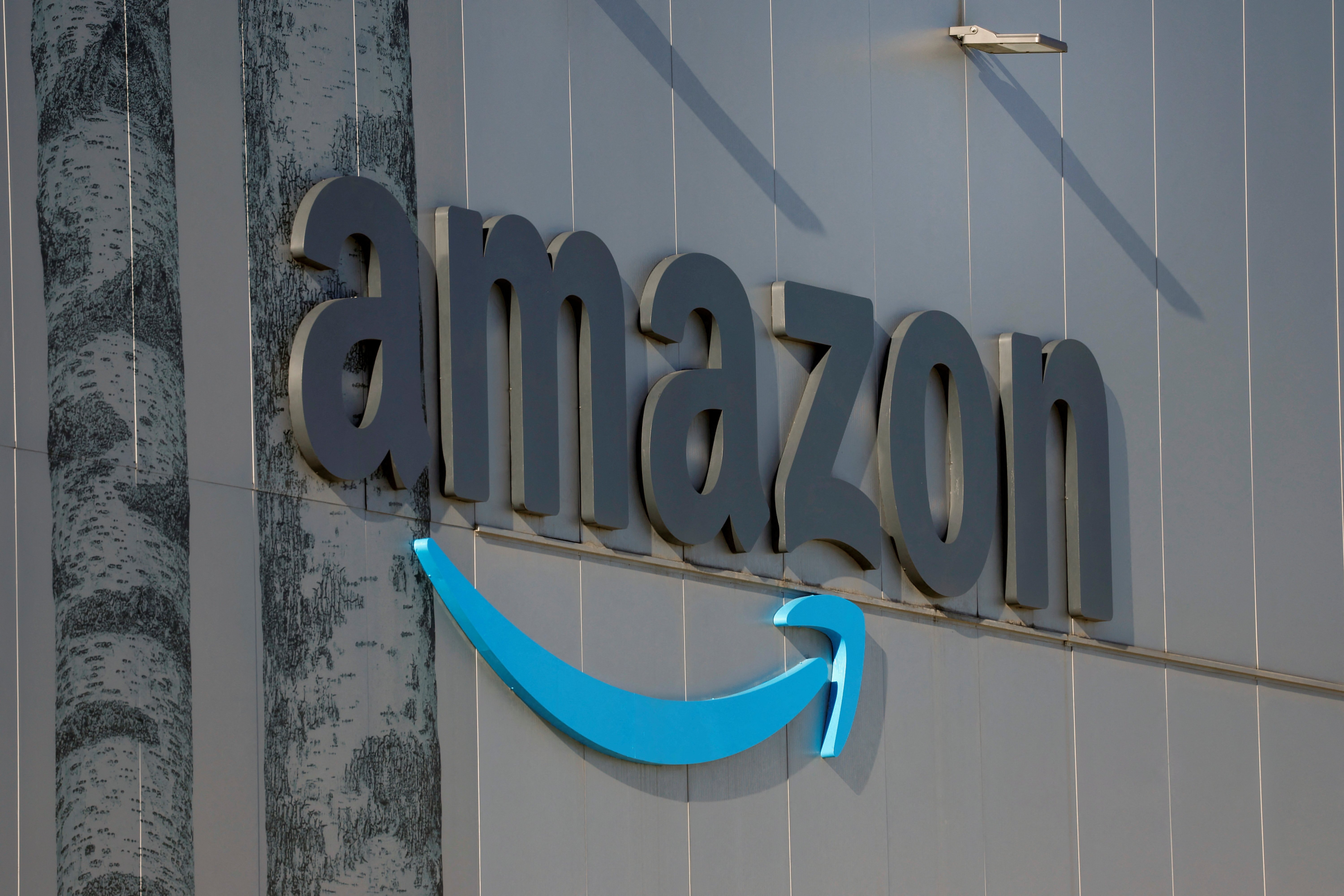 Amazon Buys Old Books and Destroys Them for AI