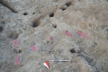 Hatay'da 7 bin 200 yıllık insan ayak izleri bulundu