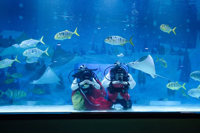 Gelecek nesillere aktarılan bayram coşkusu