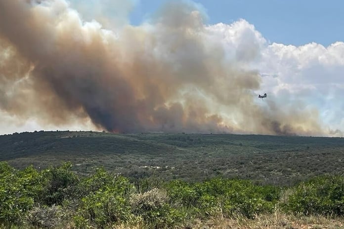 ABD'de Büyük Kanyon'da orman yangını: 1 günde 20 kat büyüdü