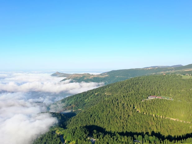 Daha uzun yaşamak isteyenler Karadeniz'e mi göçüyor?