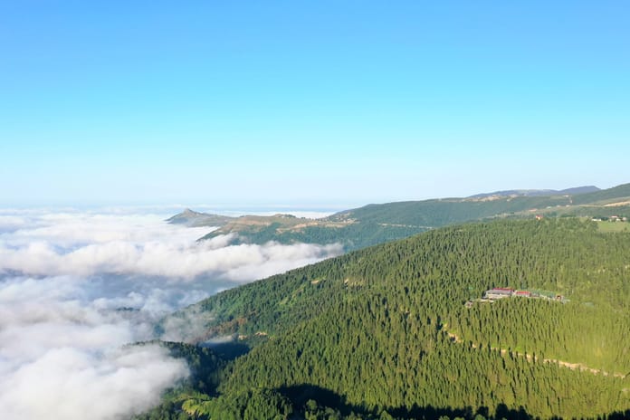 Daha uzun yaşamak isteyenler Karadeniz'e mi göçüyor?