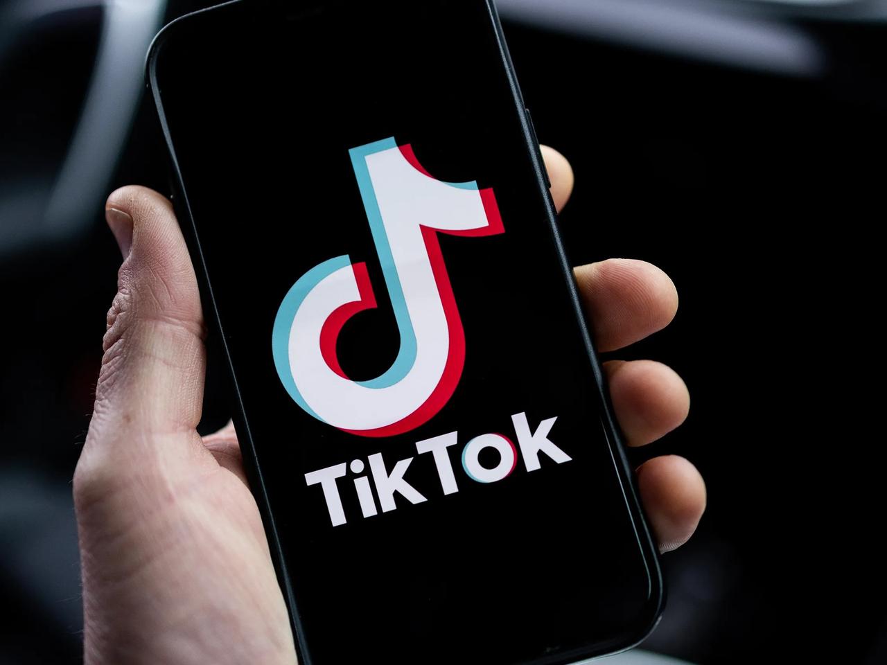 TikTok'a erişim engeli talebi