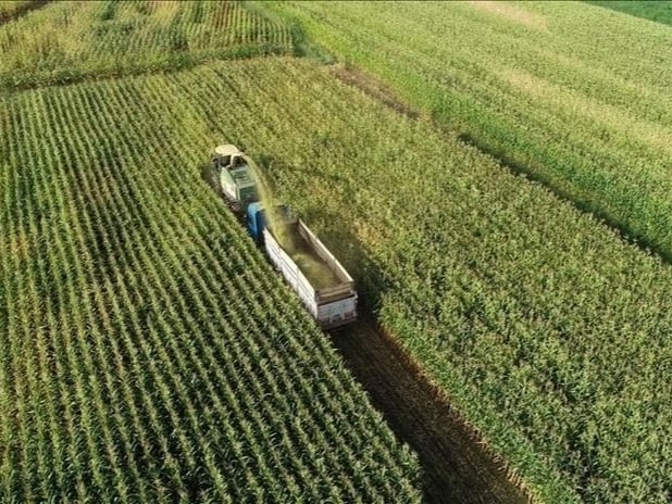 Türkiye, Uluslararası Tarım Birliği AARIENEA'da başkanlığa seçildi