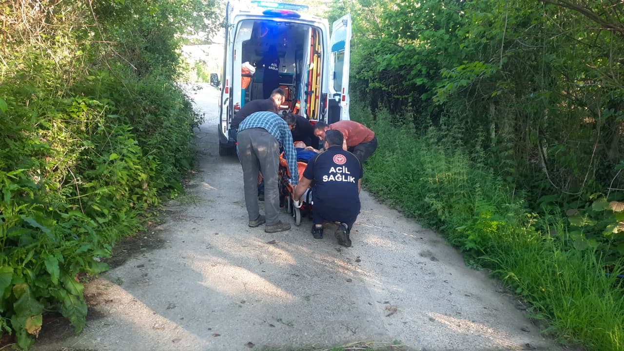 Kastamonu'da bal arısı sokan kadın hastanelik oldu! Alerji uyarısı