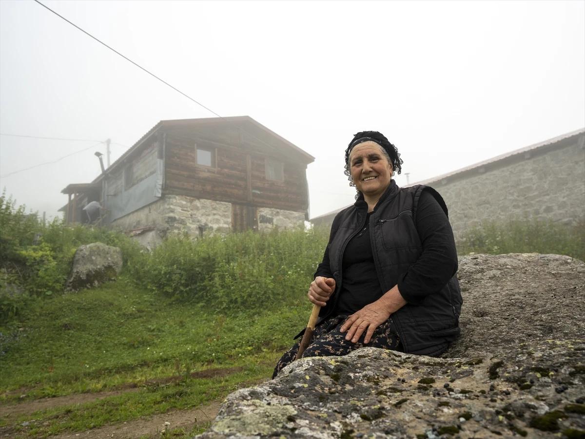 Denizden binlerce metre yükseklikte yaşam