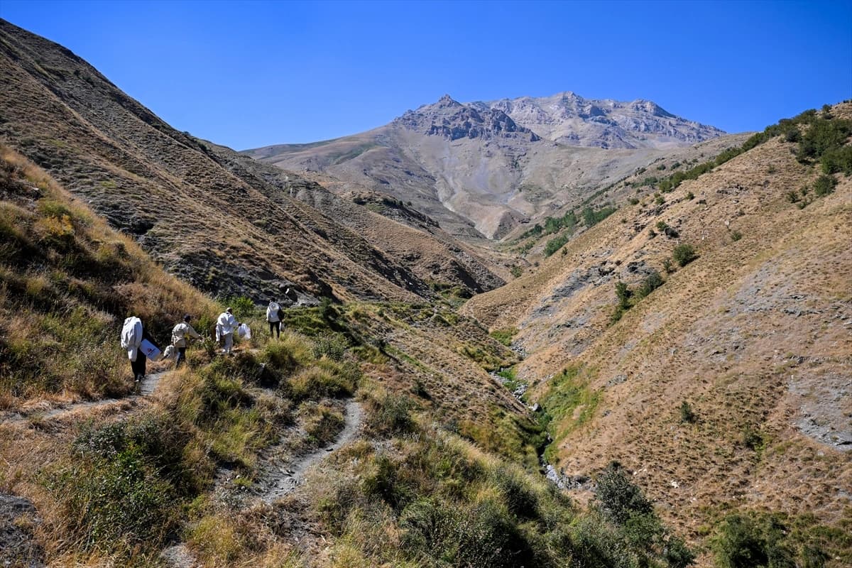 3 bin 547 metre rakımlı Arnos Dağı'nda doğal bal keşfi