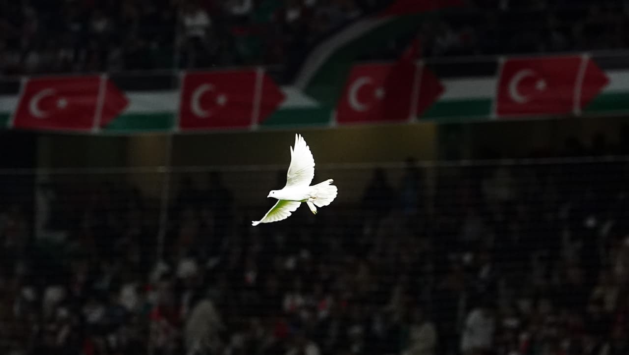 Bırakılan güvercinler
