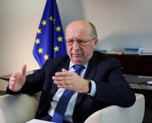 AB'den Grönland çıkışı: Böyle bir hamle NATO'nun sonu olur!