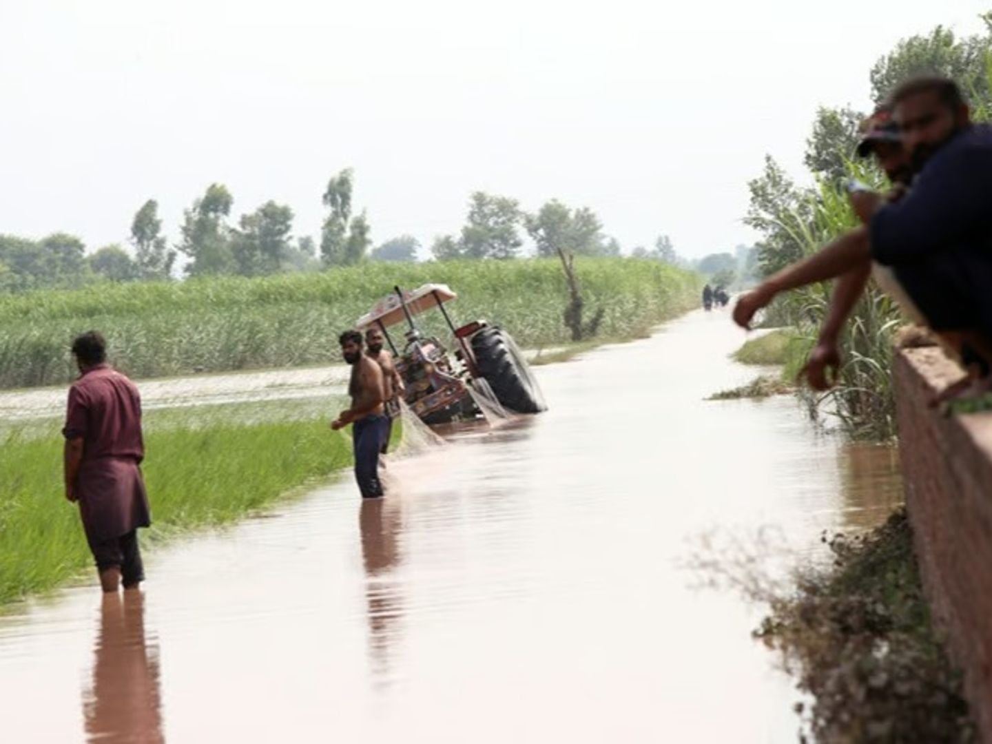 Pakistan’da muson felaketi Pencap’ta 300 bin kişi tahliye edildi