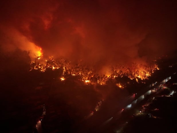 Ormanları kasten yakana müebbet hapis: MHP'den yeni kanun teklifi
