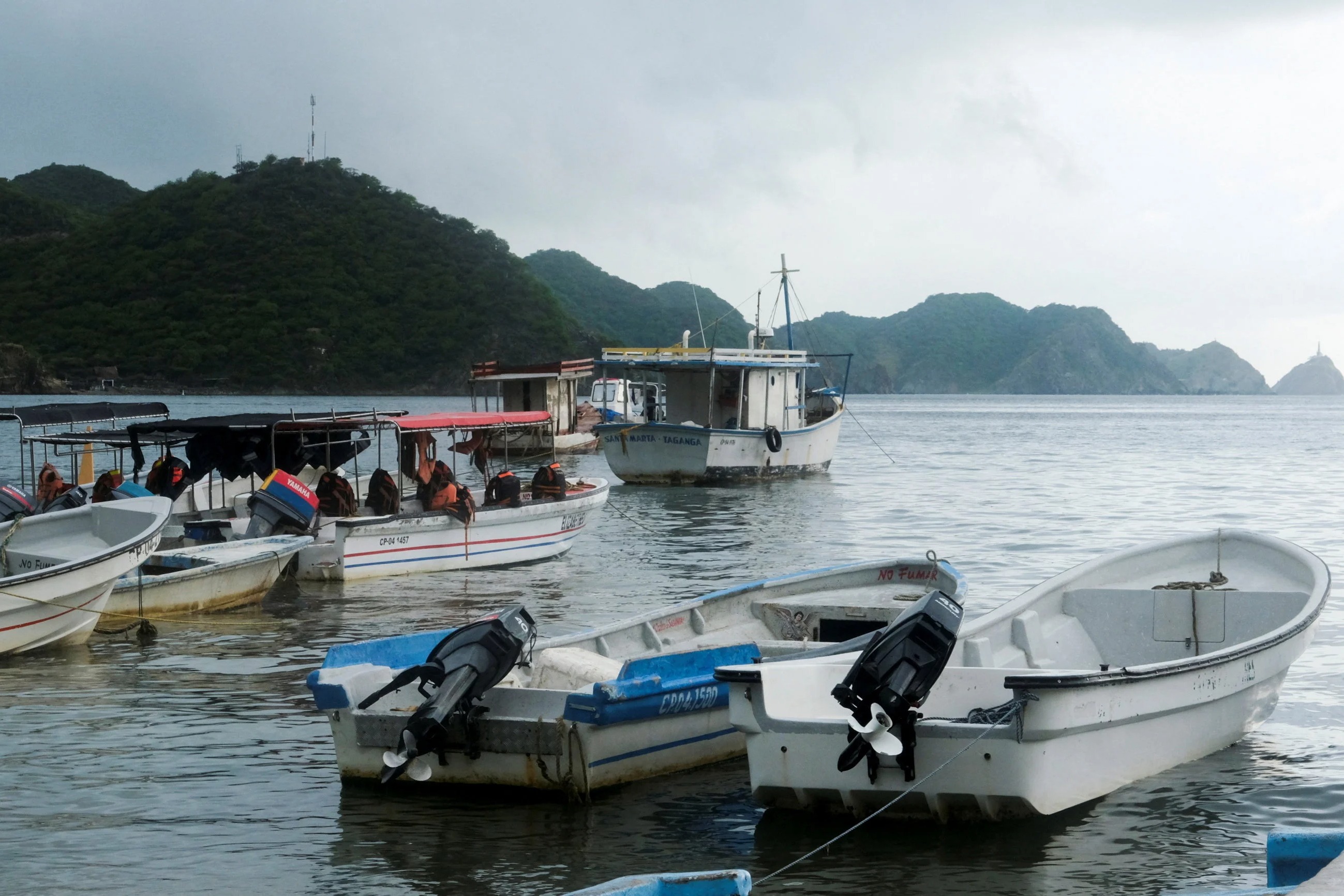 Cocaine Supply Unfazed by US Boat Strikes: Pentagon and DEA